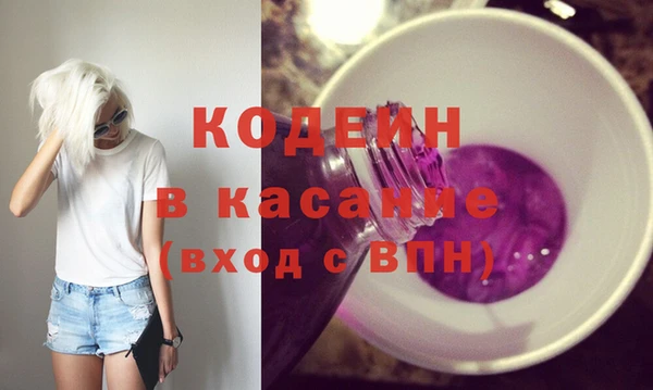 шишки Пересвет