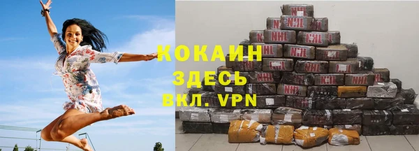 шишки Пересвет
