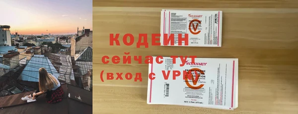 шишки Пересвет