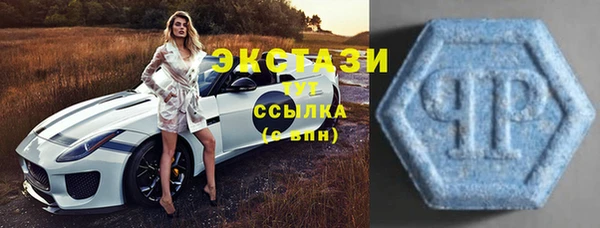 шишки Пересвет