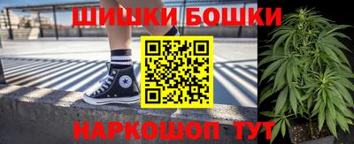 СК Новозыбков