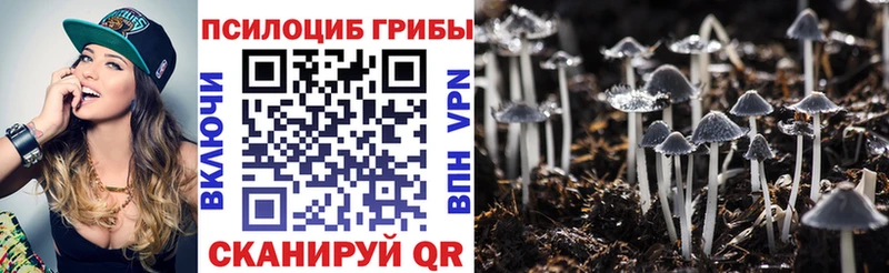hydra маркетплейс Урус-Мартан Галлюциногенные грибы Psilocybe