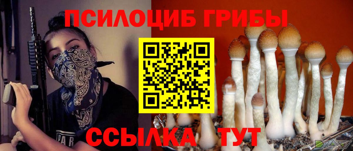 как найти   Псилоцибиновые грибы Cubensis  Урус-Мартан  Вход с VPN  Псилоцибиновые грибы Magic Shrooms 